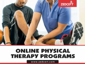 Online Physical Therapy Programs